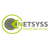 Netsyss Logo