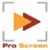 Pro Screen Media Services Logo