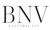 BNV Electric Inc Logotype