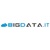 Provider Logotype BigData.it Logo