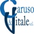 Caruso & Vitale Logo