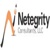 Netegrity Consultants, LLC