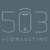 503 Consulting Logo