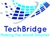 TechBridge Consultancy Services LLP Logo