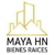 MAYA HN BIENES RAÍCES Logo