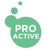 Proactive Marketing Solutions Logo