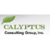 Calyptus Consulting Group, Inc. Logo