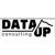 Data Up Consulting Logo