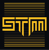 STM Cyber Logo