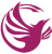 Phoenix Virtual Solutions Logo
