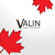 Valin Solutions Logo