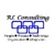 Provider Logotype RL Information Consulting LLC Logo