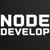 NodeDevelop - Web development Node.js React.js Angular Logo