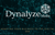 Dynalyze Media Logo