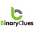 Binary Clues - Agency CRM Software Provider Logo