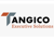 Tangico Executive Solutions Corp. Logo