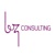 BZ Consulting Logo