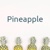 Pineapple Sustainable Partnerships Logo