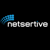 Netsertive Logo