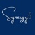 Synergy5 Consulting Logo
