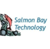 Salmon Bay Technology Logo