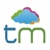 TechMatrix Consulting Logo