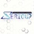 Serious Web Logo