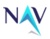 NAV IT Consulting Service Logo