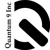 Quantum 9, Inc Logo