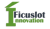 Ficuslot Innovation Pvt Ltd Logotype