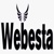 Webesta Solutions Logo