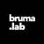 Brumalab web design agency