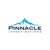 Pinnacle Investigations Logo