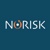 Norisk Srl Logo