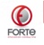 Forte Innovation Consulting Logo