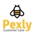 Pexly Logo