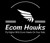 Ecom Hawks Logo