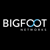 Bigfoot Networks Ltd Logo