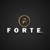 Forte A.Ş. Logo