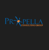 Propella Consulting Group Logo