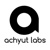 Achyut Labs Logo