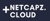 Netcapz Logo