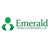 Emerald Search Partners, LLP Logo