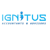 Ignitus Accountants & Advisors Logo