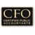 CFO Professional Services PC Logo