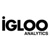 Igloo Analytics Logo