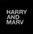 Harry and Marv Media Logo