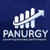 Panurgy Logo