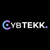 CybTEKK LLP Logo
