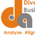 DiversityAce Business Consulting Logo